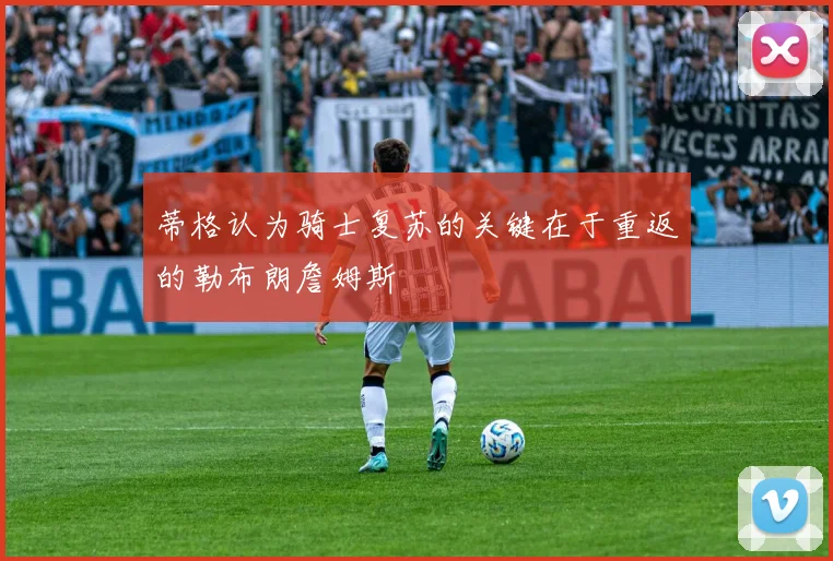 蒂格认为骑士复苏的关键在于重返的勒布朗詹姆斯