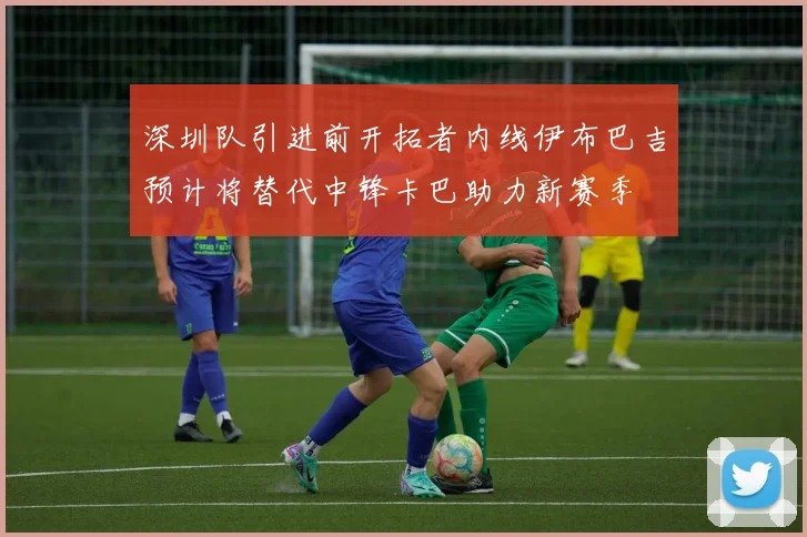 深圳队引进前开拓者内线伊布巴吉预计将替代中锋卡巴助力新赛季